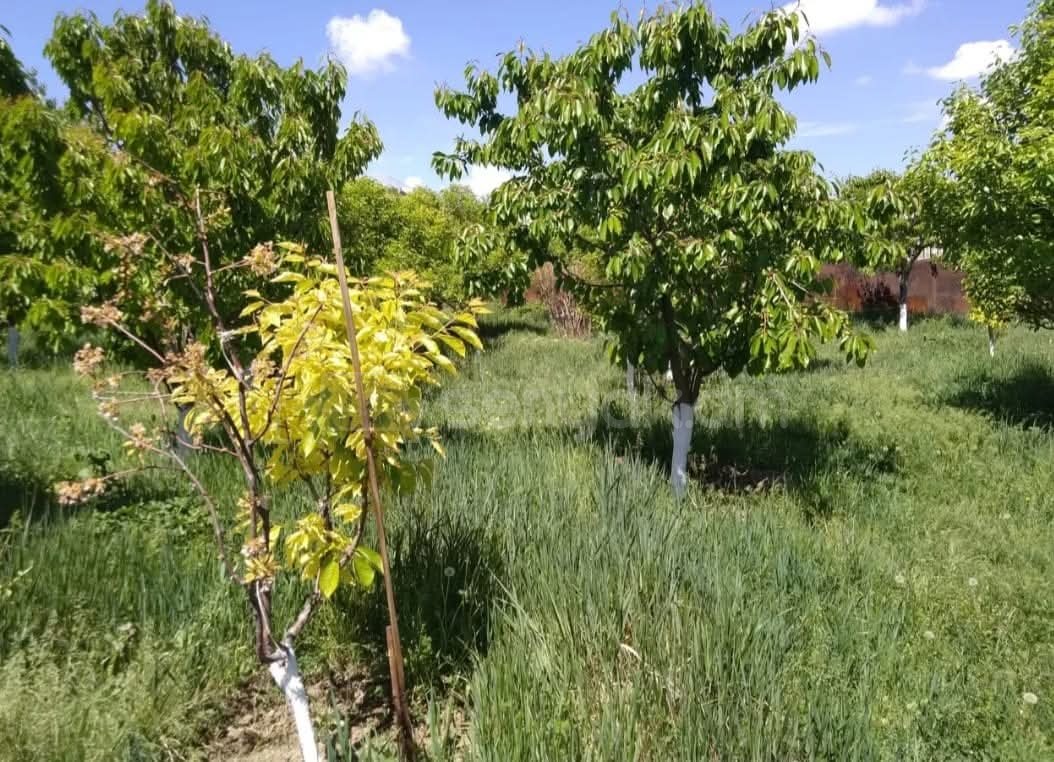 Հողամաս, 1500քմ, Ոռոգման Ջրով, Էլեկտրականությամբ