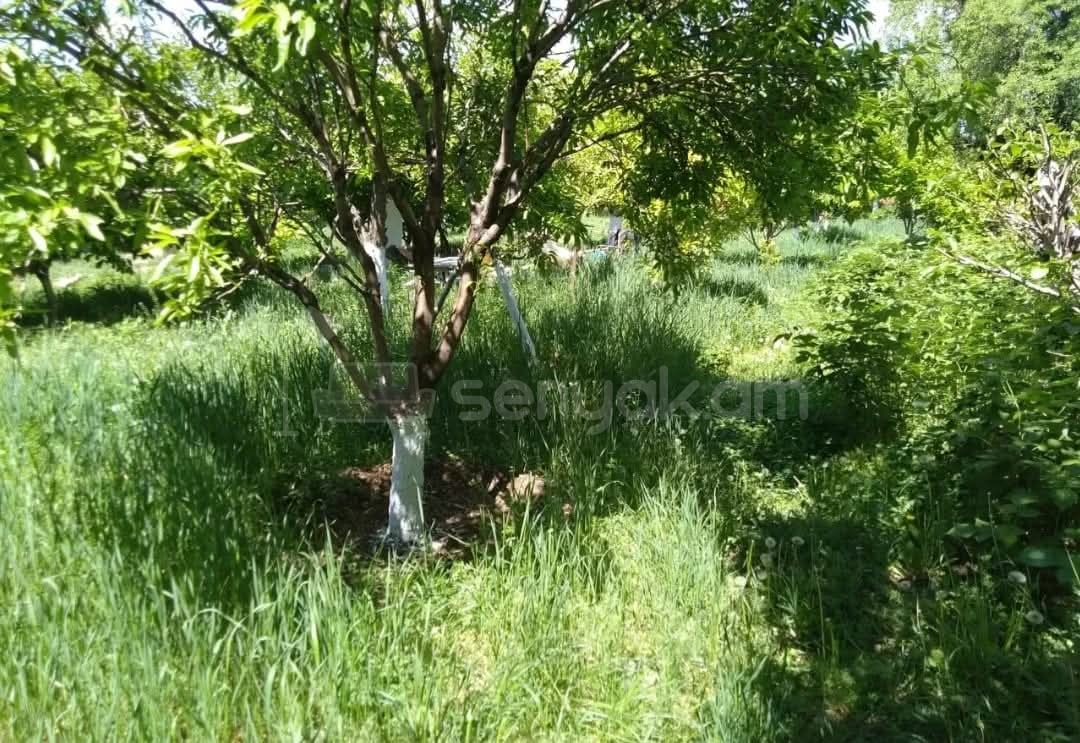 Հողամաս, 1500քմ, Ոռոգման Ջրով, Էլեկտրականությամբ