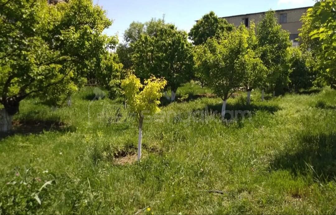 Հողամաս, 1500քմ, Ոռոգման Ջրով, Էլեկտրականությամբ