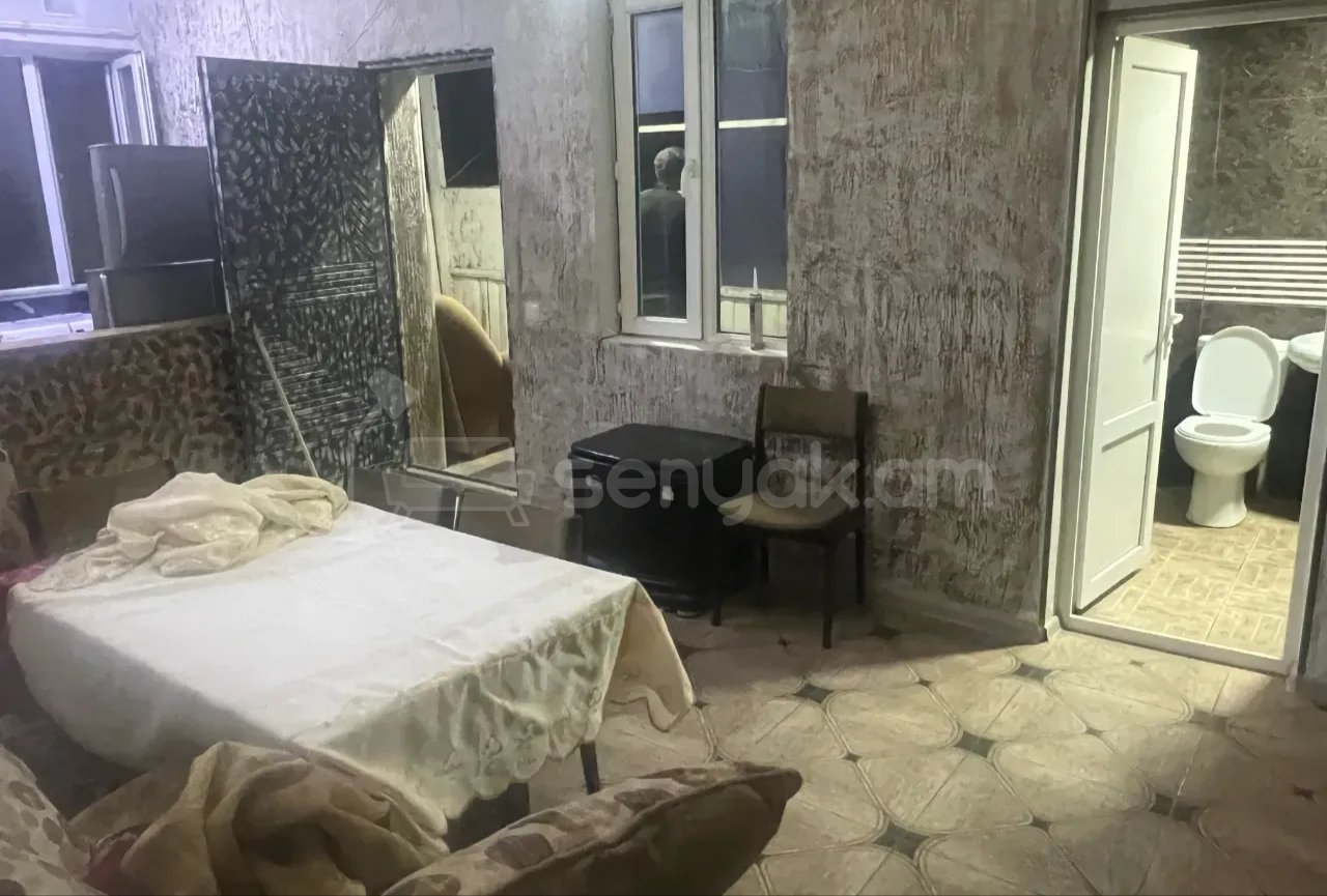 2 Սենյականոց Բնակարան Քարե Շենքում, 58քմ, 1/1 հարկ, Կապիտալ Վերանորոգված, Կահավորված