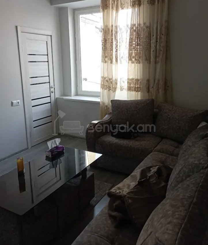 2 Սենյականոց Բնակարան Քարե Շենքում, 42քմ, 2/4 հարկ, Կապիտալ Վերանորոգված, Կահավորված