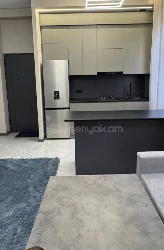 2 Սենյականոց Բնակարան Քարե Շենքում, 58քմ, 1/1 հարկ, Կապիտալ Վերանորոգված, Կահավորված