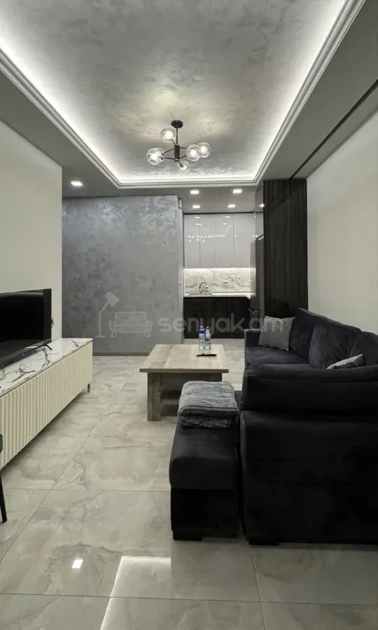 2 Սենյականոց Բնակարան, 52քմ, 3/11 հարկ, Դիզայներական Վերանորոգված, Կահավորված, Արևկող