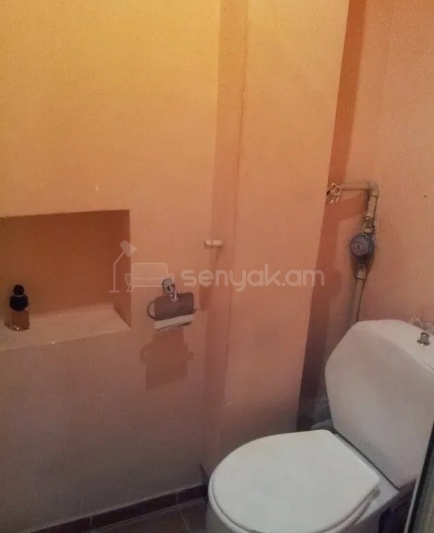 2 Սենյականոց Բնակարան, 55քմ, 2/14 հարկ, Դիզայներական Վերանորոգված, Կահավորված