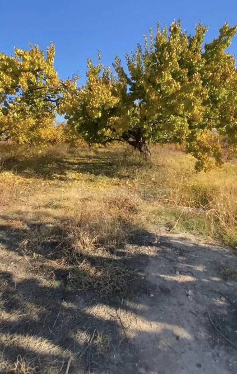 Հողամաս, 5700քմ, Ոռոգման Ջրով