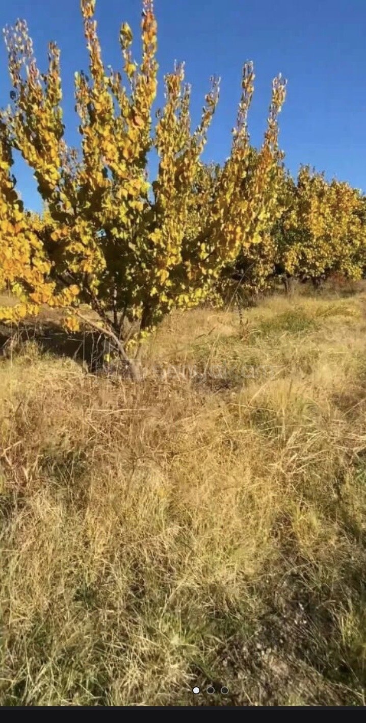 Հողամաս, 5700քմ, Ոռոգման Ջրով