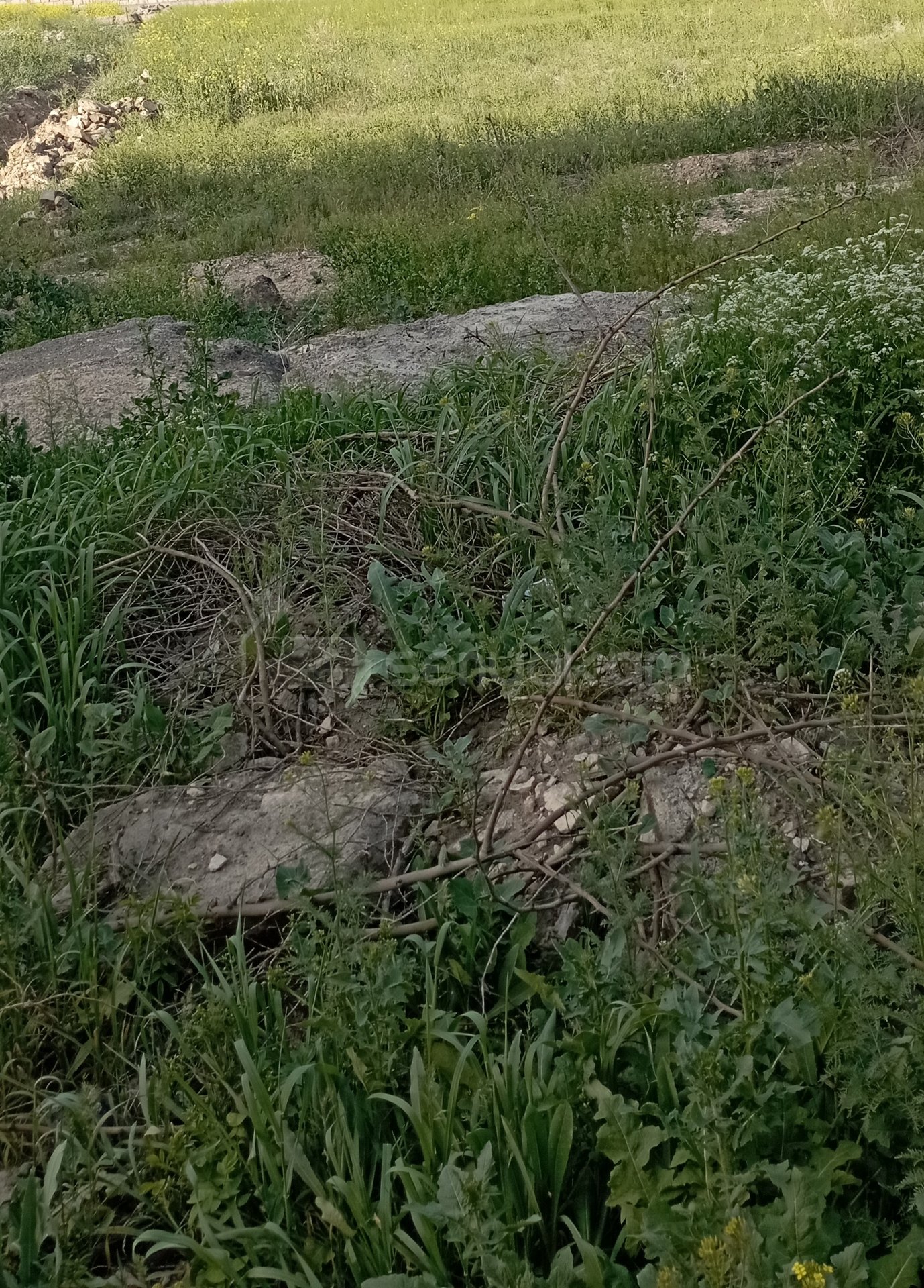 3 Սենյականոց Սեփական Տուն, 100քմ, Նորմալ Վիճակում