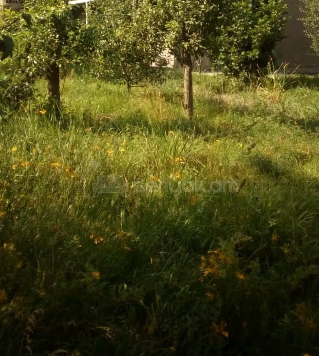 3 Սենյականոց Սեփական Տուն, 100քմ, Նորմալ Վիճակում