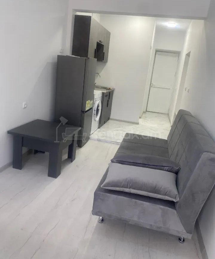 1 Սենյականոց Բնակարան Քարե Շենքում, 35քմ, 1/1 հարկ, Կապիտալ Վերանորոգված, Կահավորված