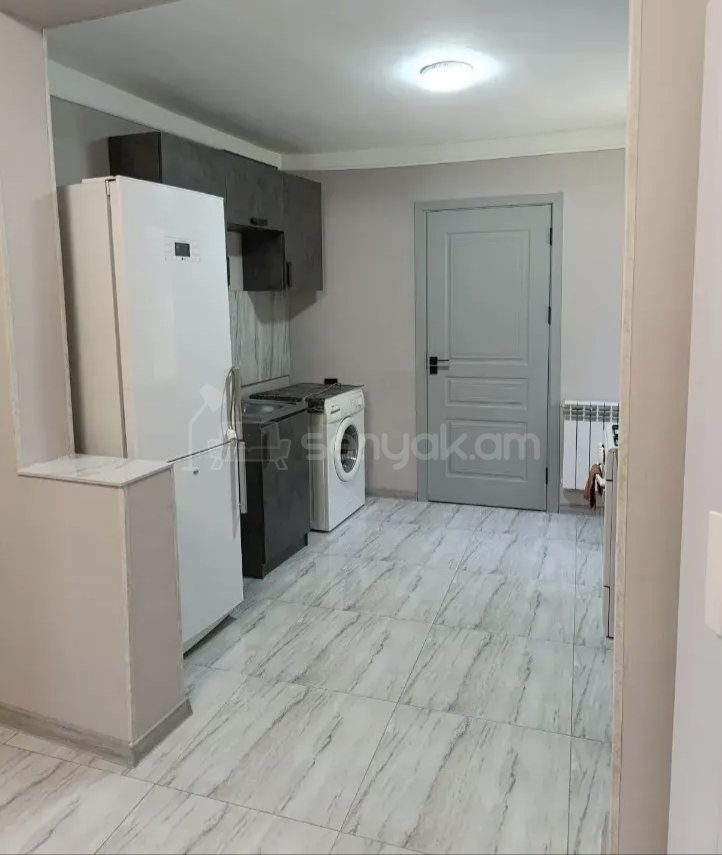 2 Սենյականոց Բնակարան Քարե Շենքում, 40քմ, 1/1 հարկ, Կապիտալ Վերանորոգված, Կահավորված