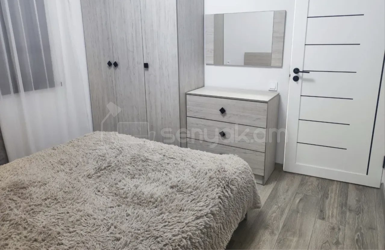 2 Սենյականոց Բնակարան Քարե Շենքում, 48քմ, 1/1 հարկ, Կապիտալ Վերանորոգված, Կահավորված