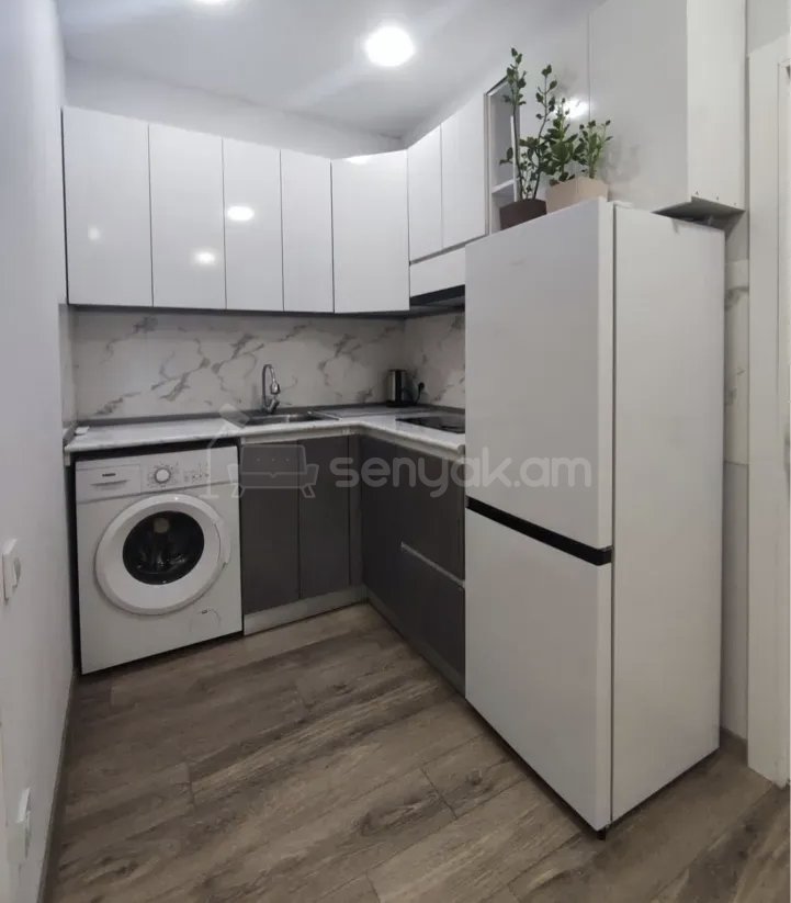 2 Սենյականոց Բնակարան Քարե Շենքում, 48քմ, 1/1 հարկ, Կապիտալ Վերանորոգված, Կահավորված