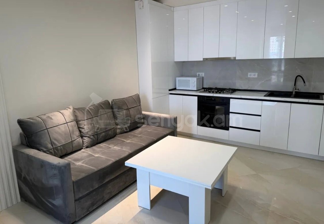 2 Սենյականոց Բնակարան Նորակառույցում, 50քմ, 9/12 հարկ, Կապիտալ Վերանորոգված, Կահավորված