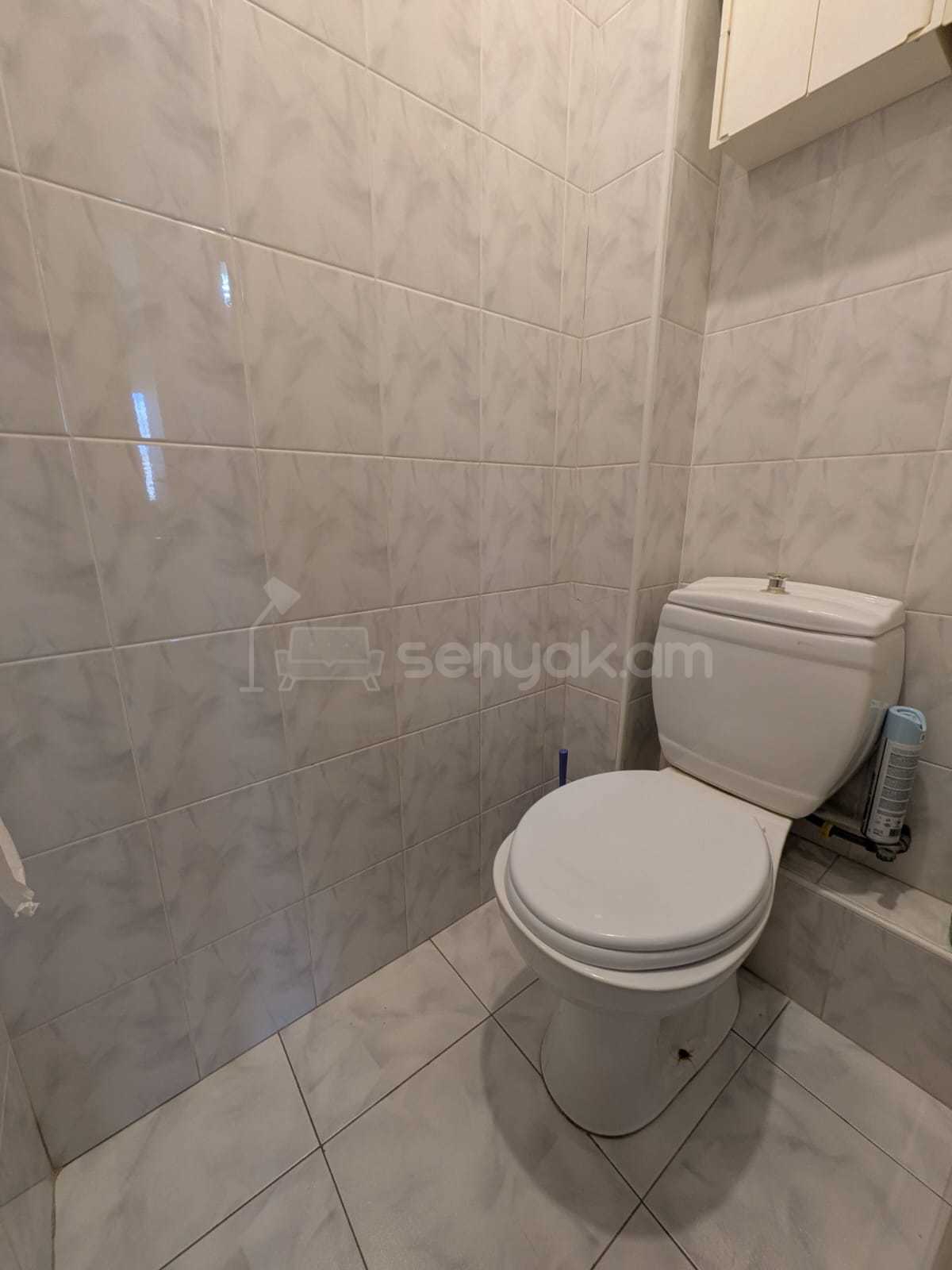 3 Սենյականոց Բնակարան, 76քմ, 8/9 հարկ, Պետական Վիճակում