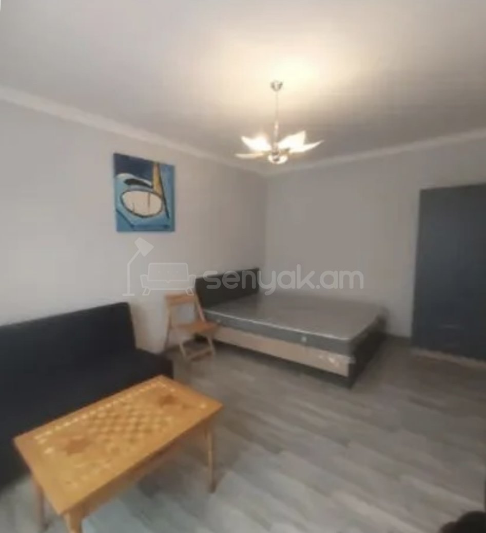 1 Սենյականոց Բնակարան Քարե Շենքում, 30քմ, 3/4 հարկ, Դիզայներական Վերանորոգված