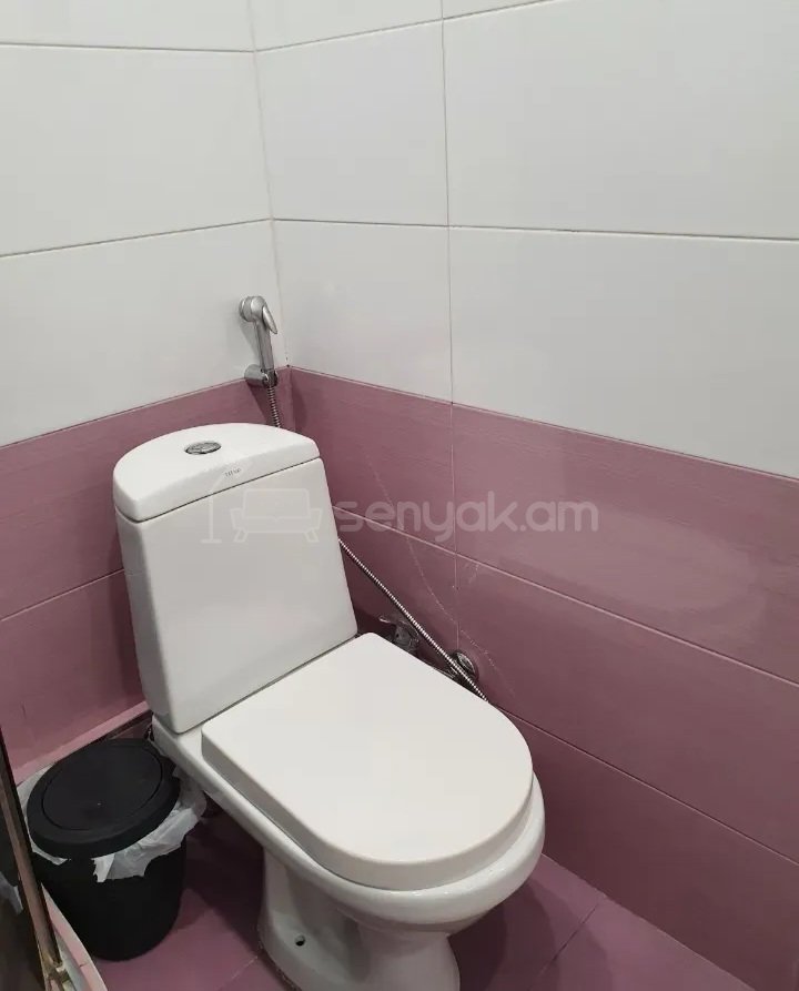 2 Սենյականոց Բնակարան Քարե Շենքում, 43քմ, 11/12 հարկ, Կապիտալ Վերանորոգված, Կահավորված