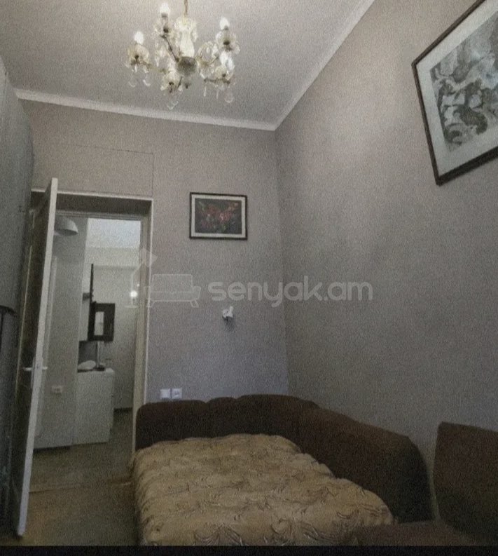 2 Սենյականոց Բնակարան Քարե Շենքում, 48քմ, 1/1 հարկ, Կապիտալ Վերանորոգված, Կահավորված