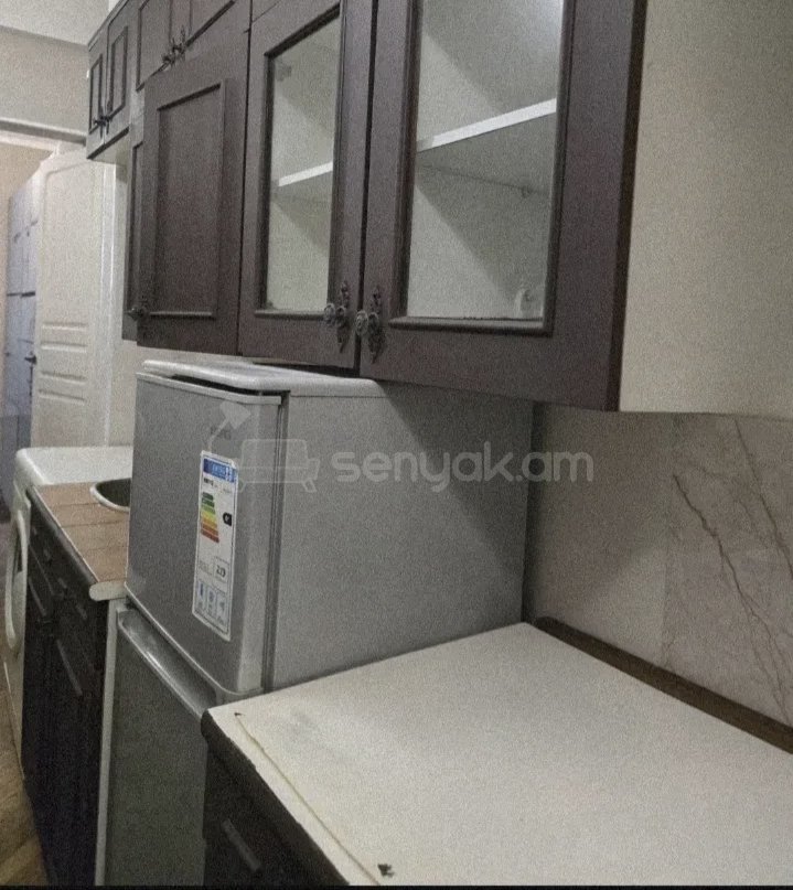 2 Սենյականոց Բնակարան Քարե Շենքում, 48քմ, 1/1 հարկ, Կապիտալ Վերանորոգված, Կահավորված