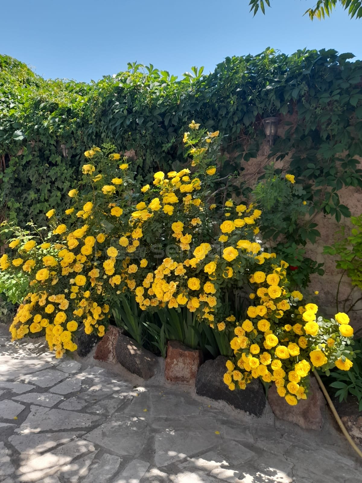 4 Սենյականոց Սեփական Տուն, 150քմ, Նորմալ Վիճակում