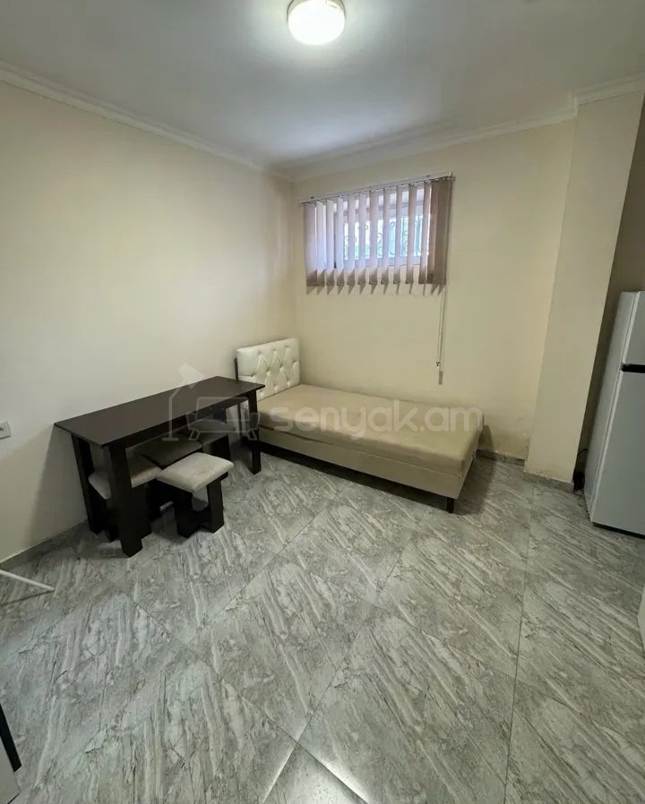 1 Սենյականոց Բնակարան Քարե Շենքում, 15քմ, 1/4 հարկ, Կապիտալ Վերանորոգված, Կահավորված