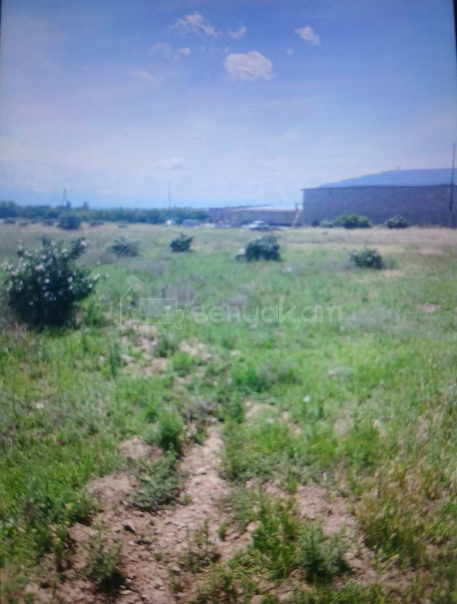 Կոմերցիոն Հողատարածք, 2200քմ, Ոռոգման Ջրով, Էլեկտրականությամբ