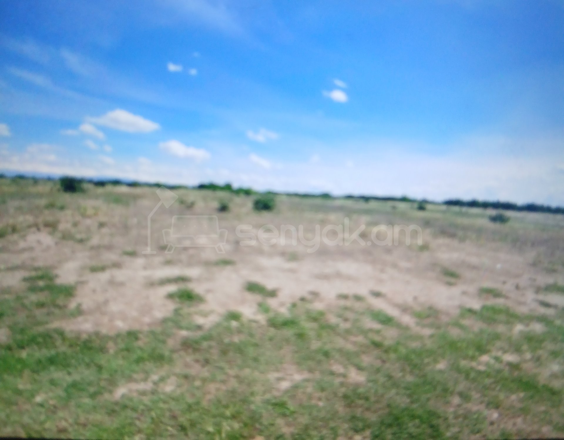 Կոմերցիոն Հողատարածք, 2200քմ, Ոռոգման Ջրով, Էլեկտրականությամբ