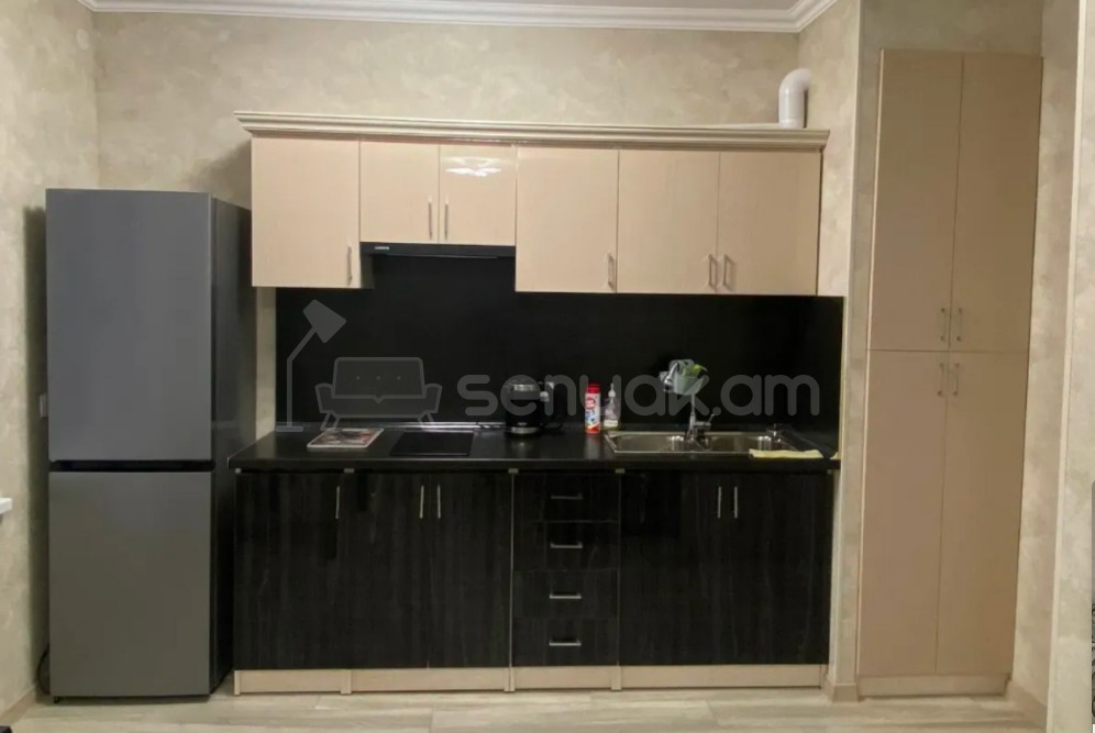 2 Սենյականոց Բնակարան, 56քմ, 8/9 հարկ, Կապիտալ Վերանորոգված, Կահավորված