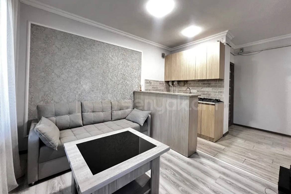 2 Սենյականոց Բնակարան, 40քմ, 1/9 հարկ, Կապիտալ Վերանորոգված, Կահավորված