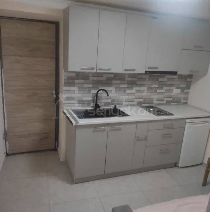 2 Սենյականոց Բնակարան Քարե Շենքում, 48քմ, 1/1 հարկ, Կապիտալ Վերանորոգված, Կահավորված