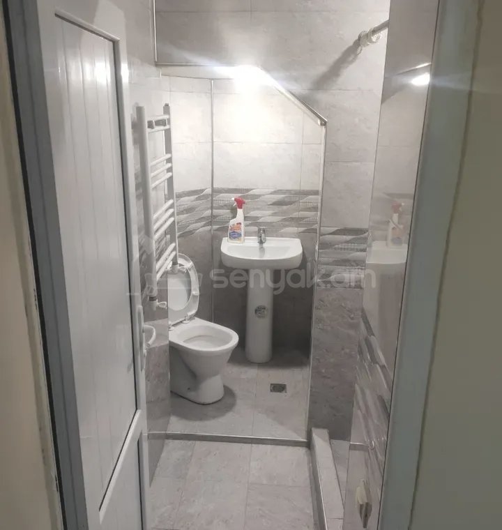 2 Սենյականոց Բնակարան Քարե Շենքում, 48քմ, 1/1 հարկ, Կապիտալ Վերանորոգված, Կահավորված