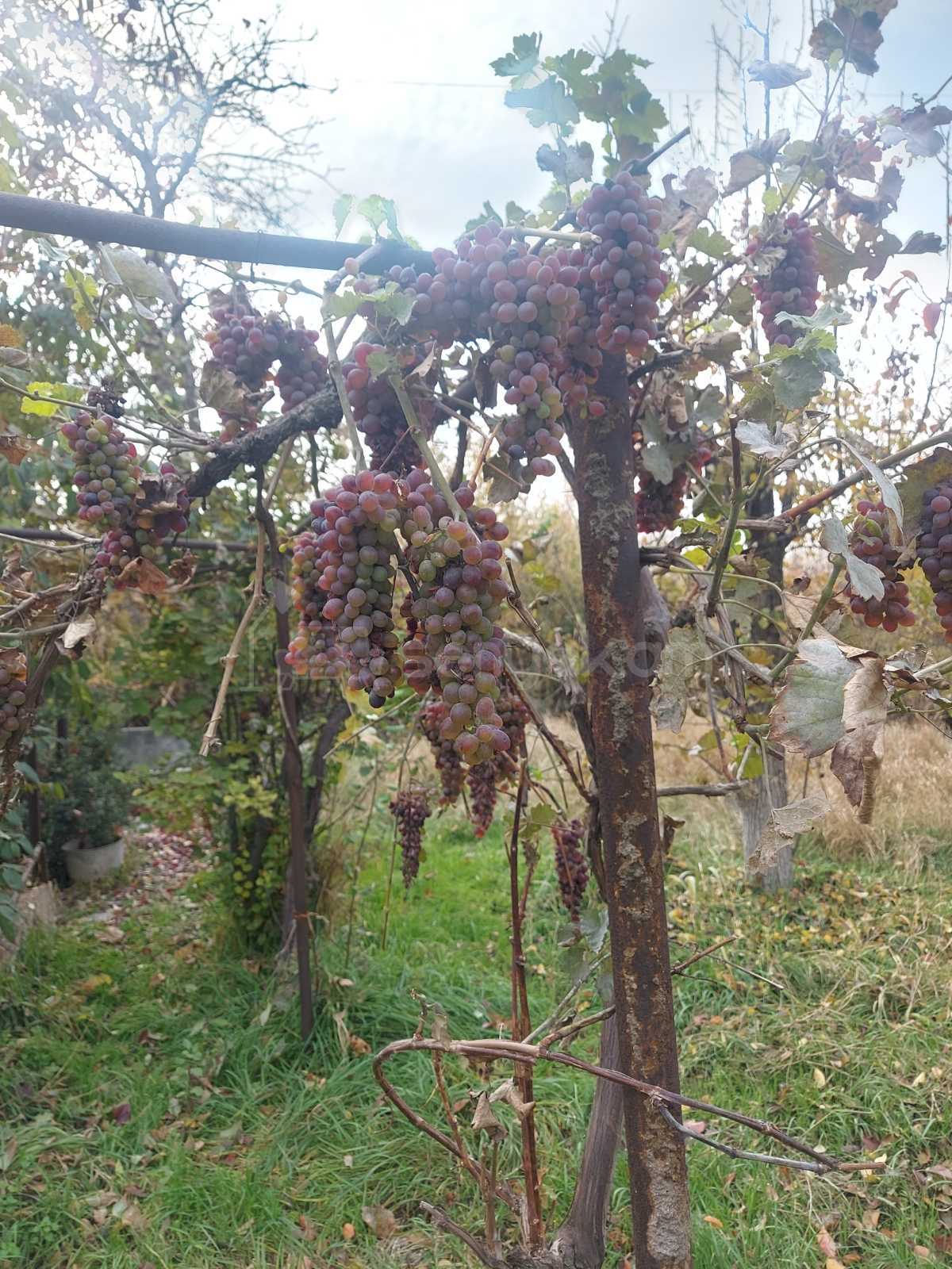 6 Սենյականոց Սեփական Տուն, 200քմ