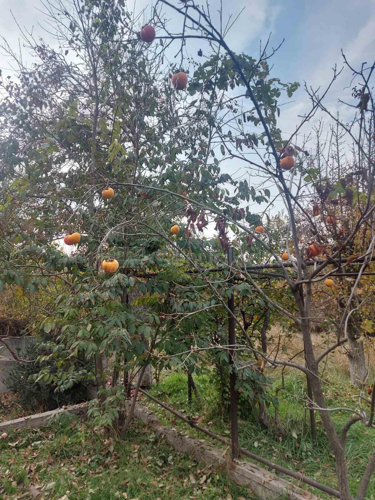 6 Սենյականոց Սեփական Տուն, 200քմ