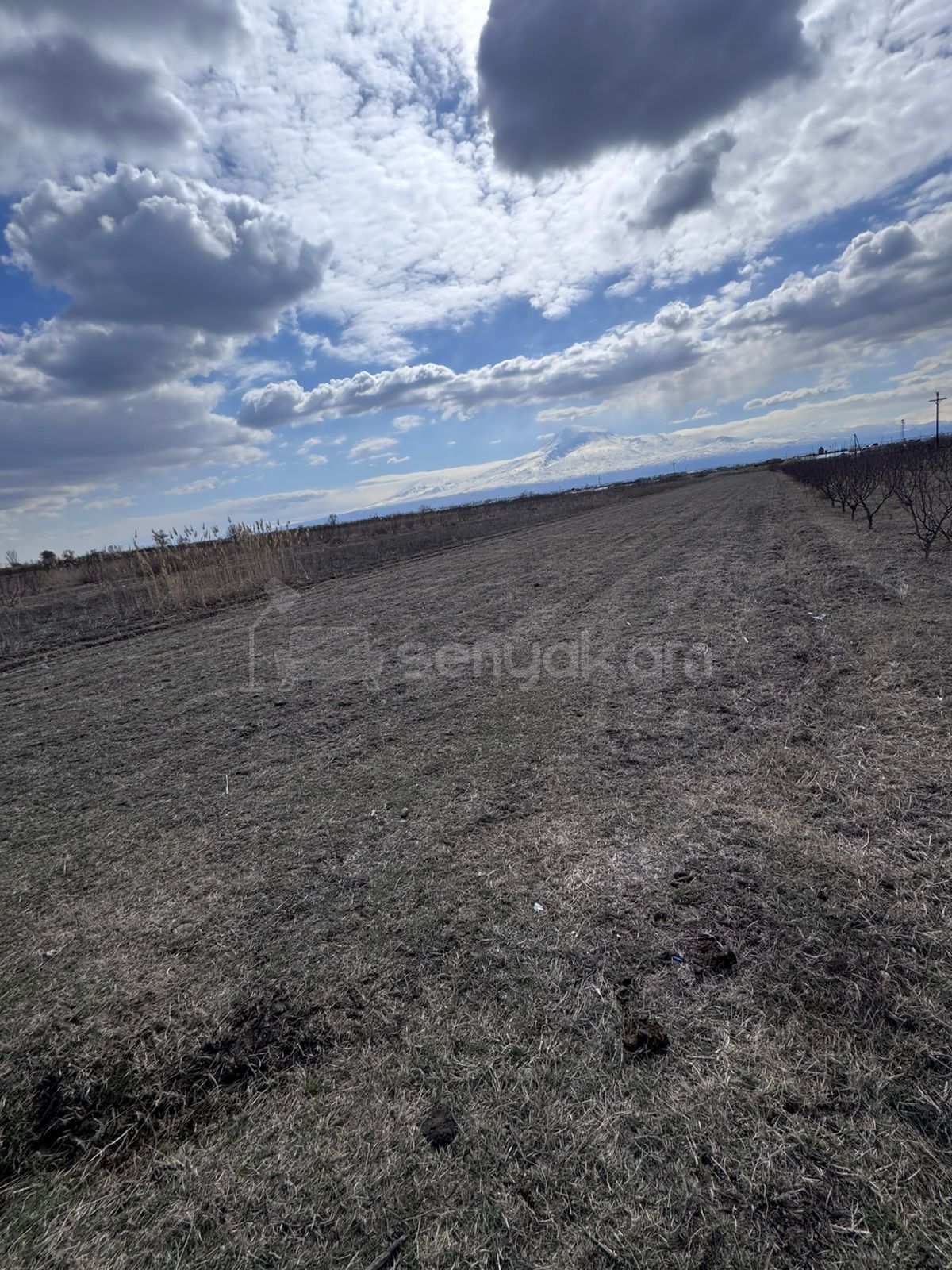 Հողամաս, 10000քմ, Ոռոգման Ջրով