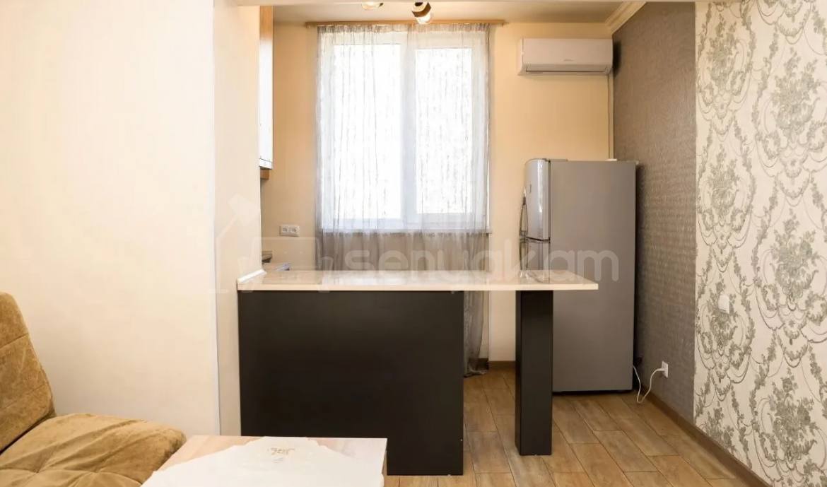 2 Սենյականոց Բնակարան, 46քմ, 11/13 հարկ, Կապիտալ Վերանորոգված, Կահավորված