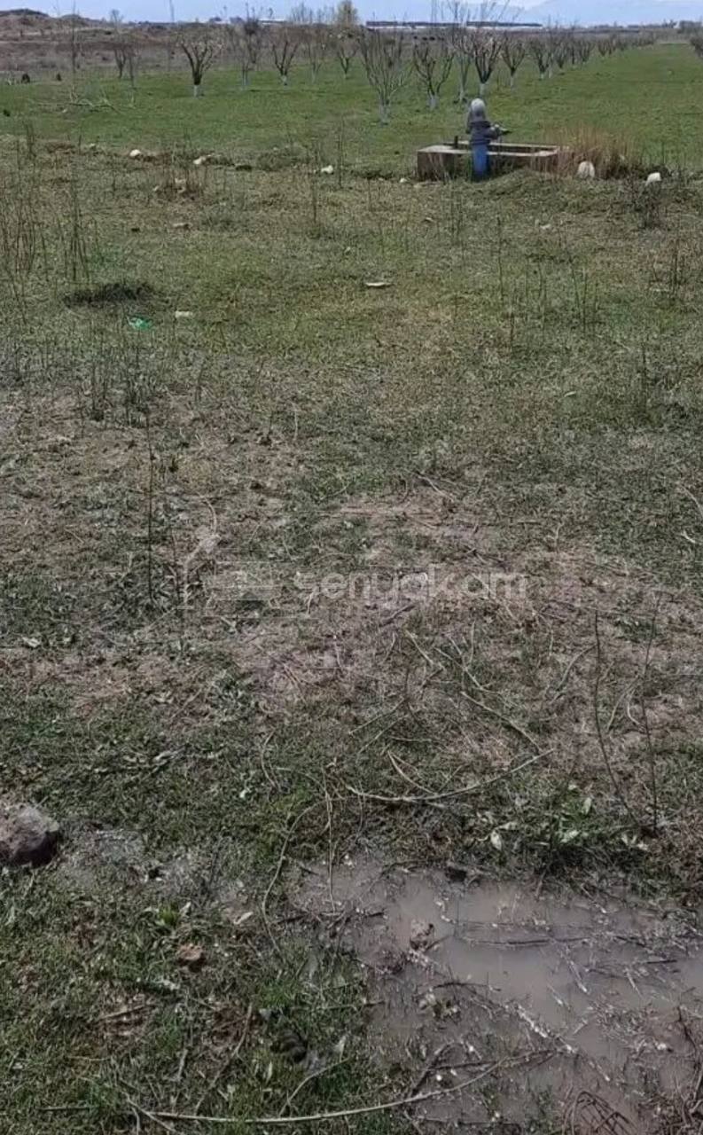 Հողամաս, 60000քմ, Ոռոգման Ջրով