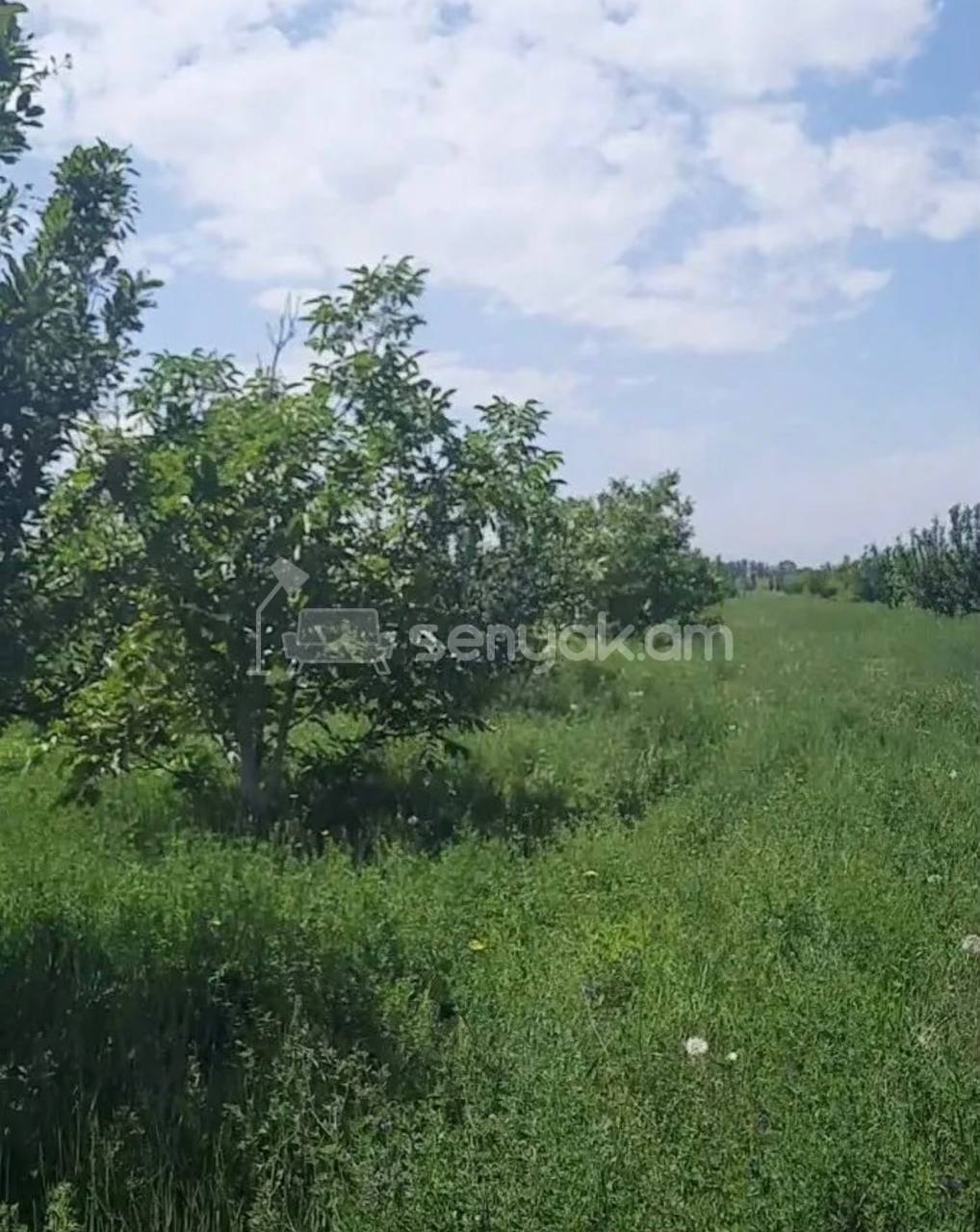 Հողամաս, 60000քմ, Ոռոգման Ջրով