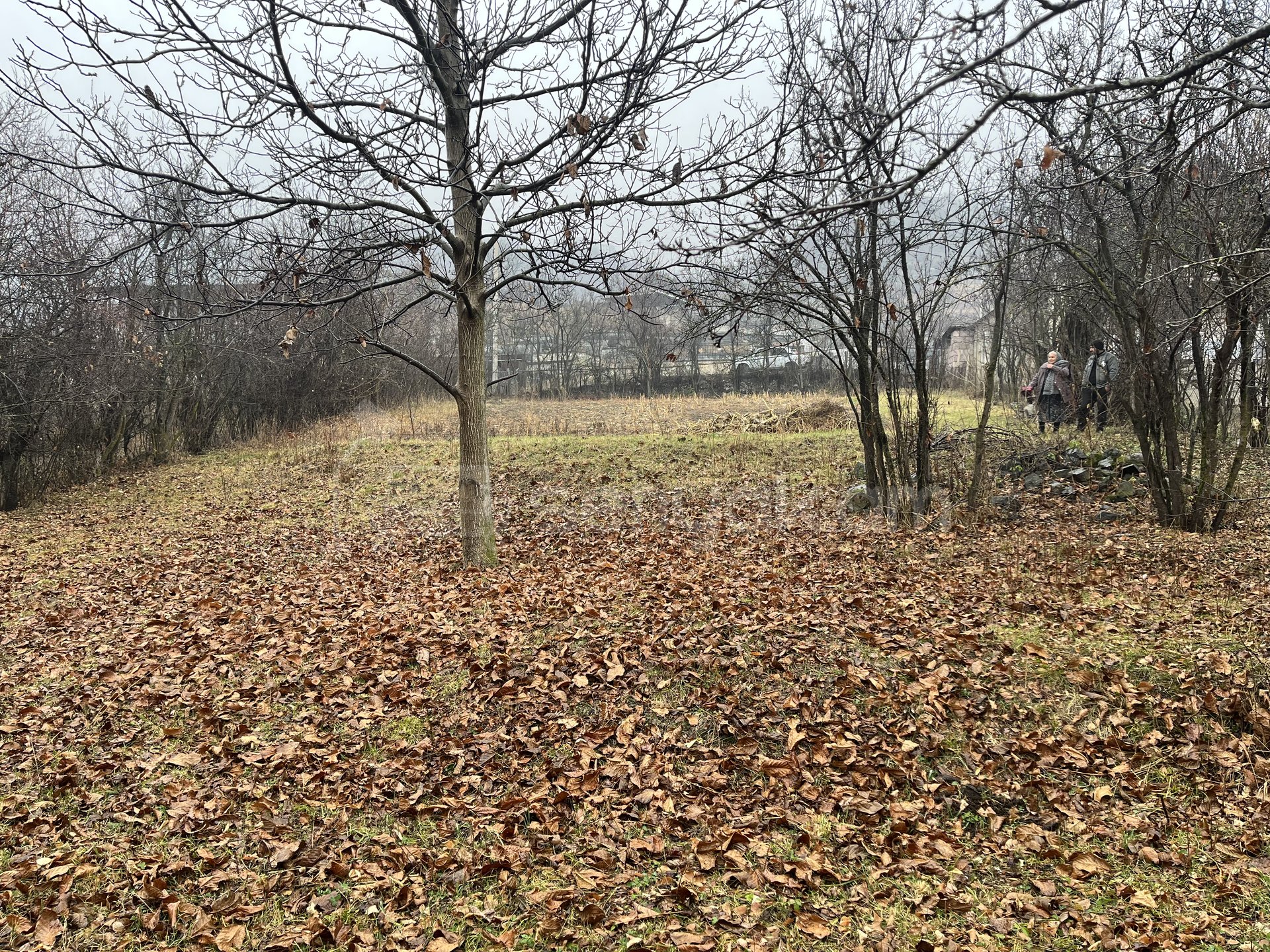 Բնակելի Նշանակության Հողատարածք, 1000քմ, Խմելու Ջրով, Էլեկտրականությամբ