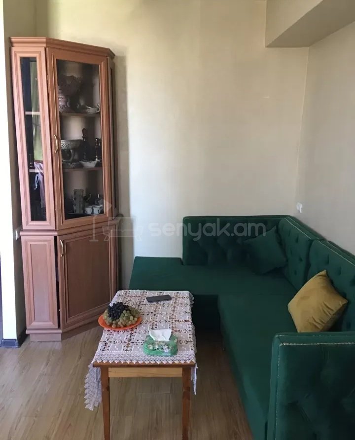 1 Սենյականոց Բնակարան Քարե Շենքում, 36քմ, 3/6 հարկ, Կոսմետիկ Վերանորոգված