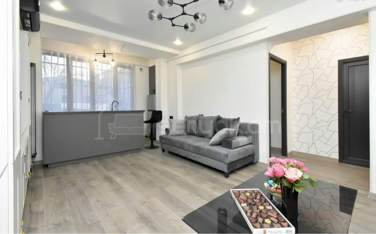 3 Սենյականոց Բնակարան, 63քմ, 2/9 հարկ, Կապիտալ Վերանորոգված