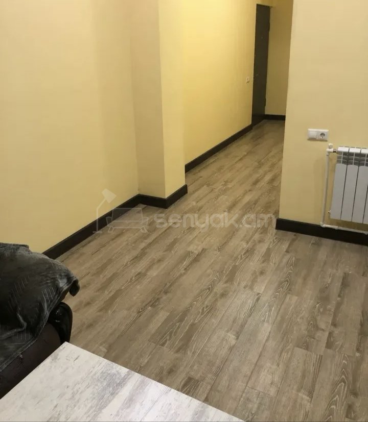 1 Սենյականոց Բնակարան Քարե Շենքում, 35քմ, 1/1 հարկ, Նորմալ Վիճակում, Կահավորված