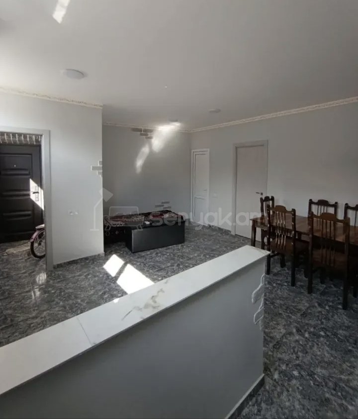 2 Սենյականոց Բնակարան Քարե Շենքում, 48քմ, 1/1 հարկ, Կապիտալ Վերանորոգված, Կահավորված