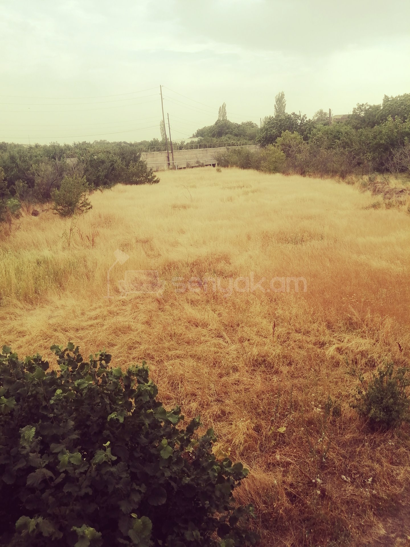 Հողամաս, 1000քմ, Ոռոգման Ջրով