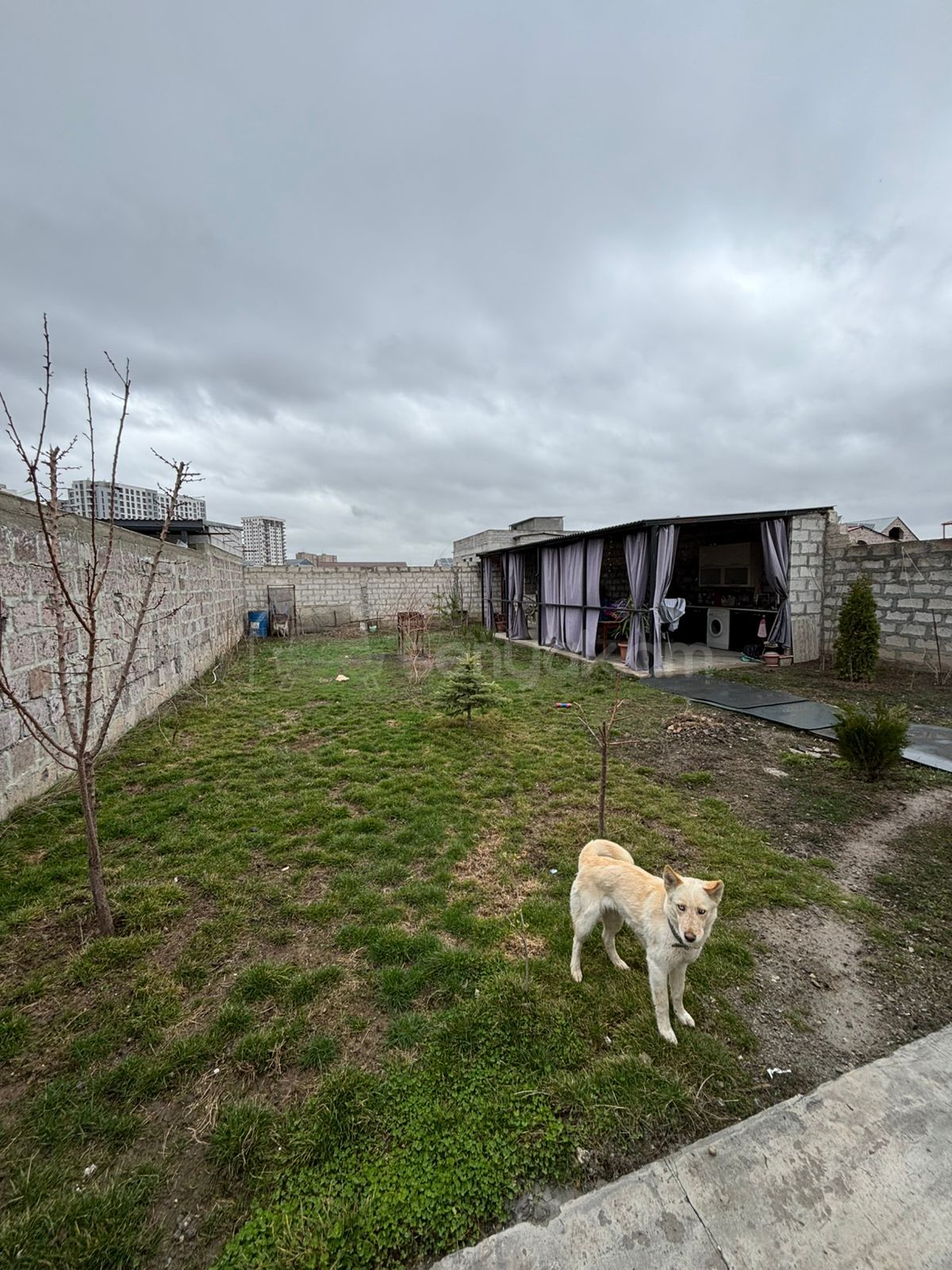 4 Սենյականոց Սեփական Տուն, 122քմ, Կապիտալ Վերանորոգված