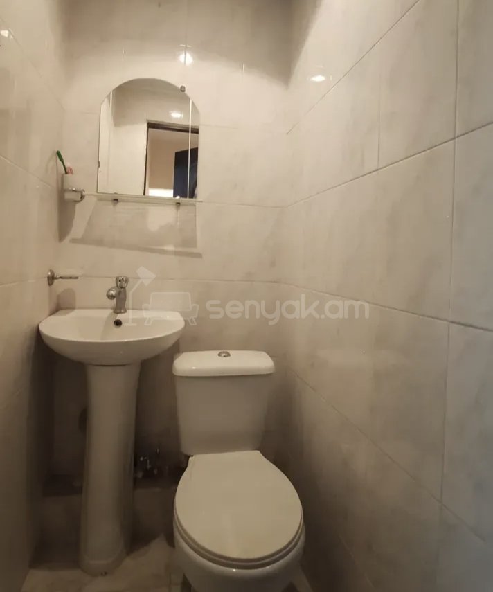 3 Սենյականոց Բնակարան Քարե Շենքում, 56քմ, 1/1 հարկ, Նորմալ Վիճակում, Կահավորված