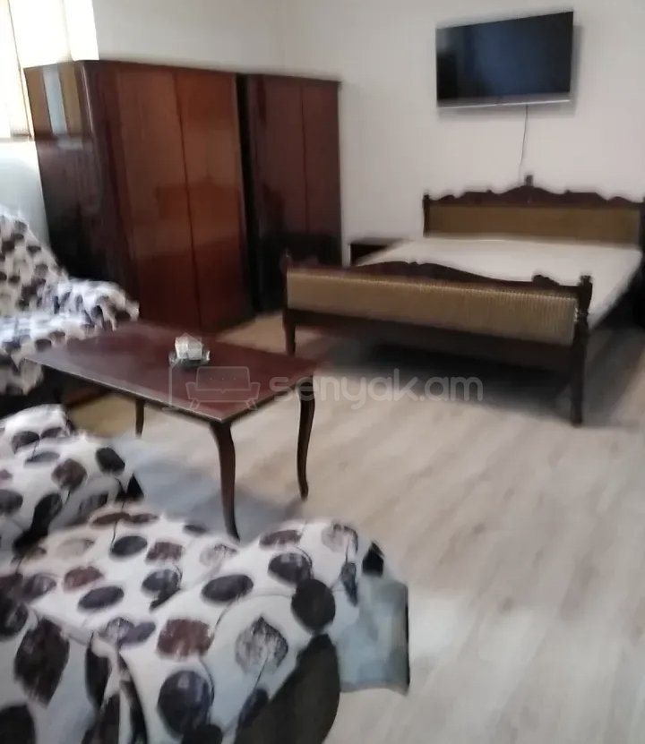 1 Սենյականոց Բնակարան Քարե Շենքում, 35քմ, 1/1 հարկ, Կոսմետիկ Վերանորոգված, Կահավորված