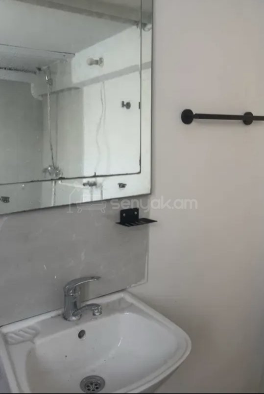 2 Սենյականոց Բնակարան Քարե Շենքում, 54քմ, 1/1 հարկ, Կապիտալ Վերանորոգված, Կահավորված