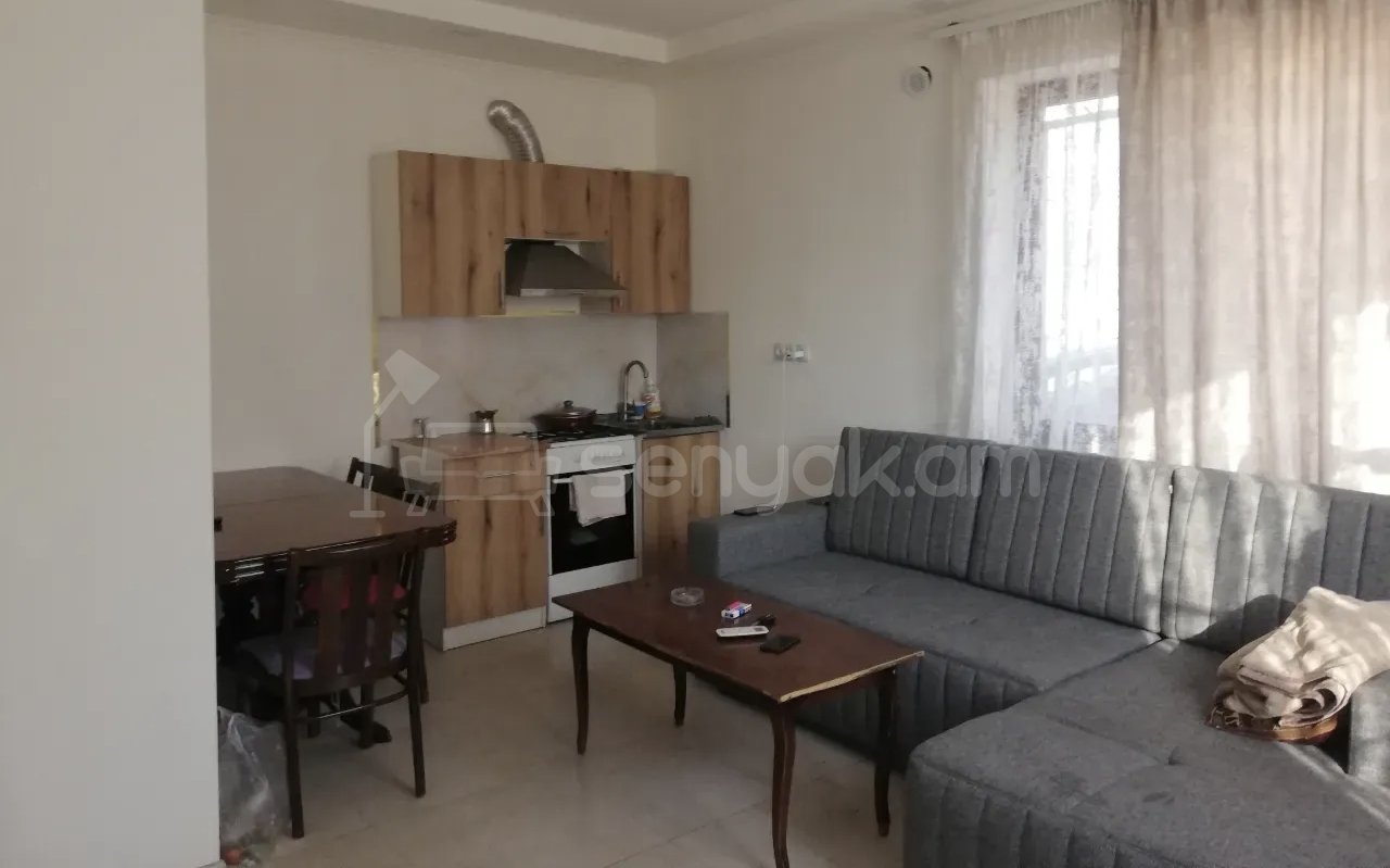 2 Սենյականոց Բնակարան Քարե Շենքում, 54քմ, 1/1 հարկ, Կապիտալ Վերանորոգված, Կահավորված