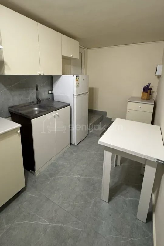 2 Սենյականոց Բնակարան Քարե Շենքում, 40քմ, 1/1 հարկ, Կապիտալ Վերանորոգված, Կահավորված