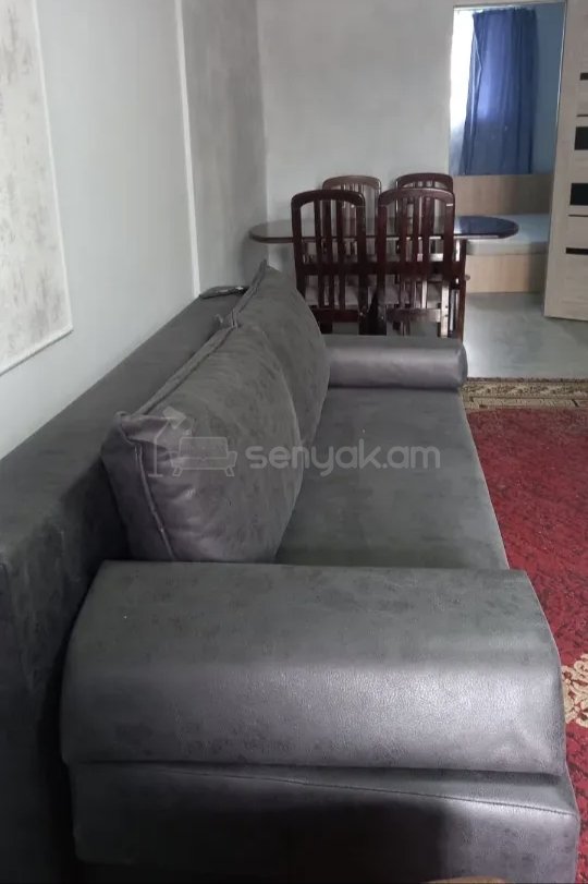 2 Սենյականոց Բնակարան Քարե Շենքում, 40քմ, 1/1 հարկ, Կապիտալ Վերանորոգված, Կահավորված