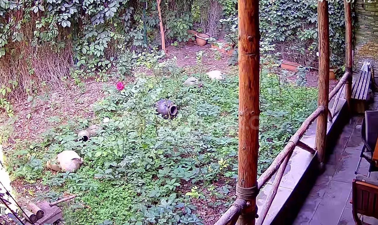 3 Սենյականոց Բնակարան, 106քմ, 1/9 հարկ, Կապիտալ Վերանորոգված